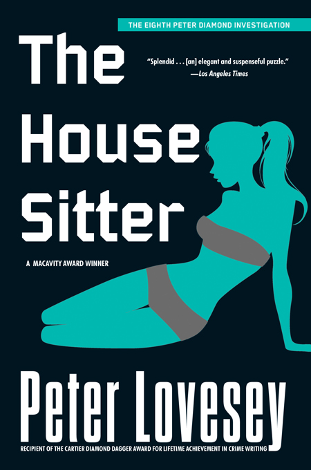 House sitter. Зиттер Петер. Housesitter. Клинический вариант Sitter?. The House Sitter (2019).